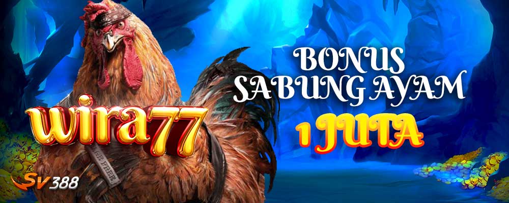 BONUS SABUNG AYAM WIRA77